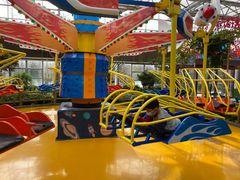 -南宫五洲植物乐园