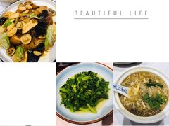 -席家花园(巨鹿花园店)