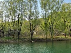 -大连冰峪旅游度假区