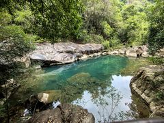 -广州白江湖森林公园