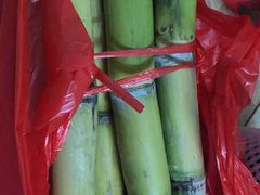 -泉州海丝野生动物世界