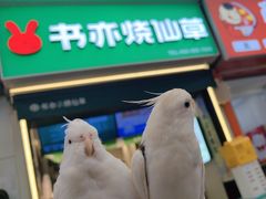 -书亦烧仙草(重庆江南大道店)