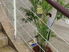 -诺贝尔一诺口腔医院(雁塔院区)