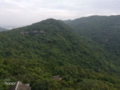 -亚龙湾热带天堂森林公园