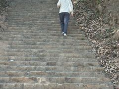 -大尖山公园