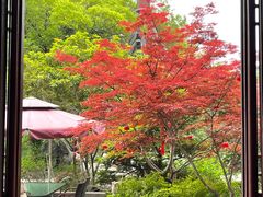 -祝家花園(伯渎港店)