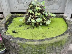 -海窝子古镇