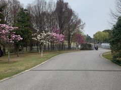 -闵行文化公园-停车场