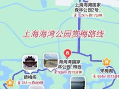 -上海海湾国家森林公园