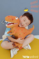 -雅尼·亚米儿童摄影美学馆(汉阳店)