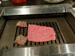 -俺的焼肉(銀座9丁目店)