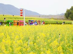 -光明小镇欢乐田园