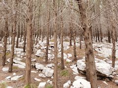 -龙洞风景区-藏龙涧