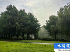 -九科绿洲