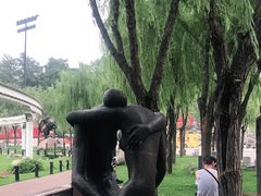 -西安曲江寒窑遗址公园