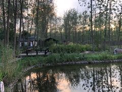 -合肥滨湖国家森林公园