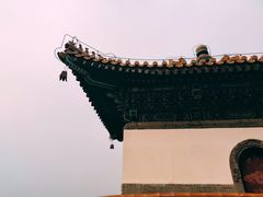 -颐和园