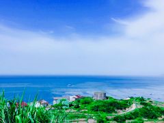 -枸杞岛