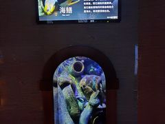 -太平洋海底世界