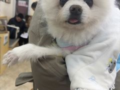 -美联众合动物医院·24h转诊中心