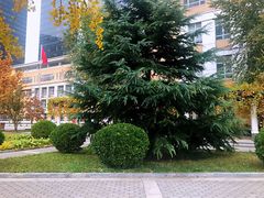 教学楼-清华大学附属小学商务中心区实验小学