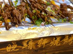 -晓靖轩烧烤(沙河风情店)