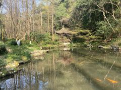 景点-虎跑公园