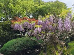 -中国茶叶博物馆(双峰馆区)
