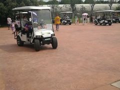 -武汉紫薇都市田园