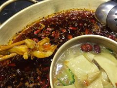 -杨家火锅(国美店)