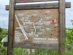 -池杉湖湿地公园