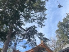 -潭柘寺景区