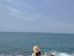 -广东惠东海龟国家级自然保护区