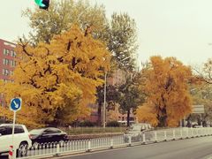 -清华大学玉泉医院