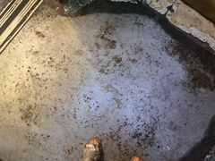 -楚湘苑(商品街大道店)