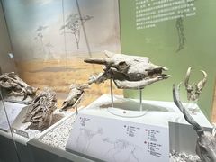 -国家自然博物馆