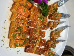 -港升鱼师傅·中山脆肉鲩