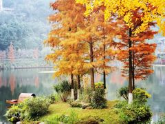 -重庆彩云湖湿地公园