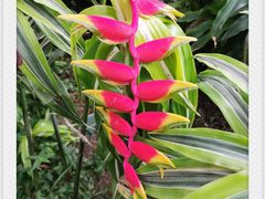 -北京植物园-展览温室