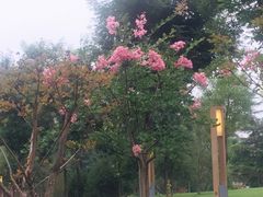 -唐城墙遗址公园