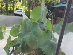 -中卫御苑福膳·养生局(圆明园店)
