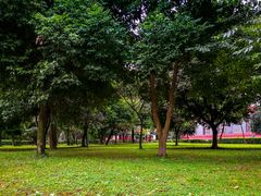-四川大学(望江校区)