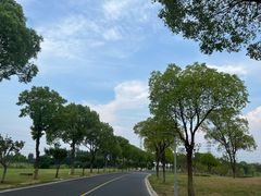 -漕湖湿地公园