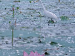 -东钱湖旅游度假区