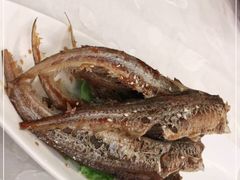 -老克勒上海菜(南京路步行街店)