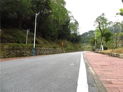 -火炉山森林公园