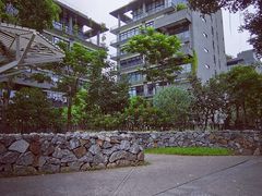 -宝安西湾红树林湿地公园