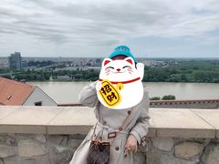 -布拉迪斯拉发城堡