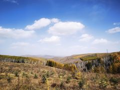 -塞罕坝国家级自然保护区