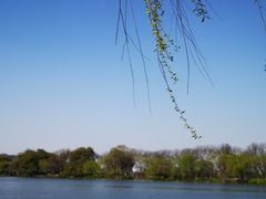 -西湖外事游船(花港观鱼码头)